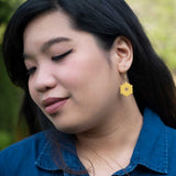 James Webb Space Telescope Earrings